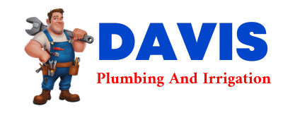 Trusted plumber in GOREVILLE